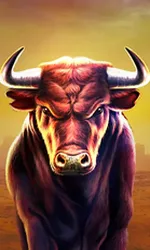 Black Bull